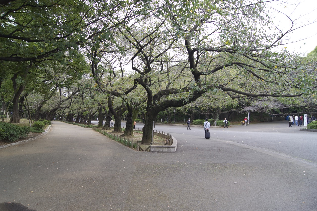 A park in Tokyo